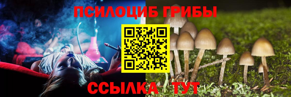 Свободный  Псилоцибиновые грибы ЛСД  Вход с VPN  Псилоцибиновые грибы Magic Shrooms 